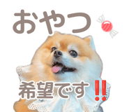846242492