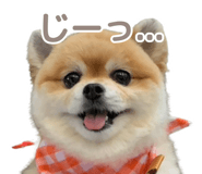 846242494