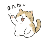 846242685