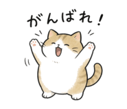 846242697