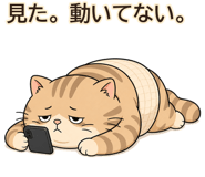 846243248