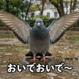 846243522