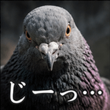 846243528