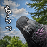 846243531