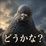 846243533