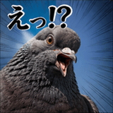 846243534