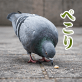 846243536
