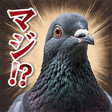 846243542
