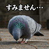 846243549