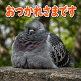 846243553