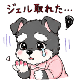 846245123