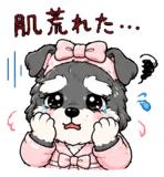 846245125