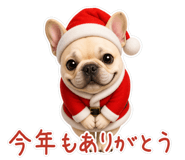846246258