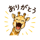 846250315