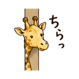 846250333