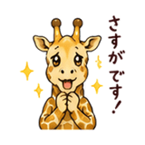 846250334