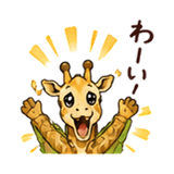 846250340