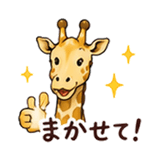 846250347