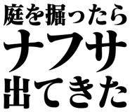 846251110