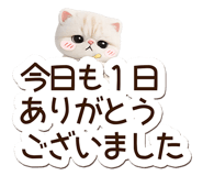 846251464