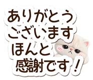 846251468