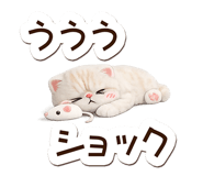 846251482