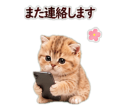 846252720