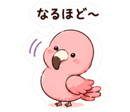 846252962