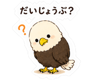 846253057