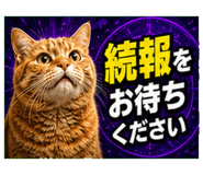 846254248