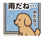 846254325
