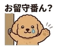 846254326