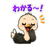 846254396