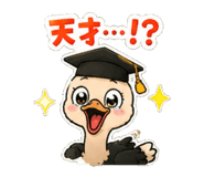 846254397