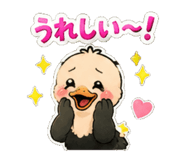 846254407