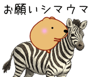 846256016