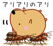 846256036