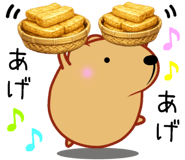 846256037