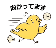 846256107
