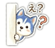 846256531