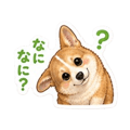 846256589