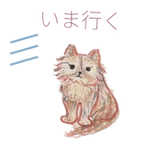 846256765