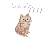 846256775