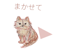 846256777