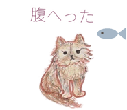 846256785