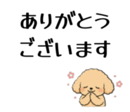 846257468