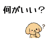 846257803