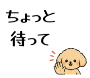 846257806