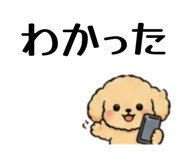 846258036