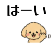 846258129